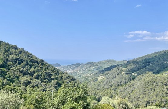 For sale Villa Quiet zone Seborga Liguria